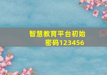 智慧教育平台初始密码123456