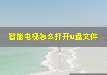 智能电视怎么打开u盘文件