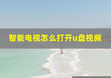 智能电视怎么打开u盘视频