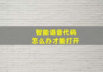 智能语音代码怎么办才能打开