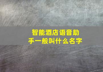 智能酒店语音助手一般叫什么名字