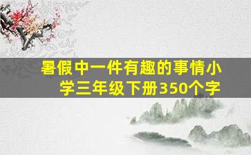 暑假中一件有趣的事情小学三年级下册350个字