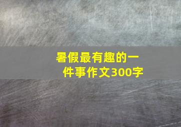 暑假最有趣的一件事作文300字