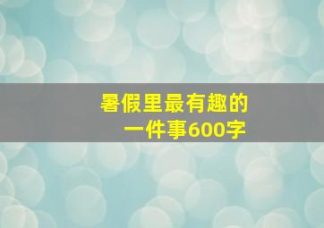 暑假里最有趣的一件事600字