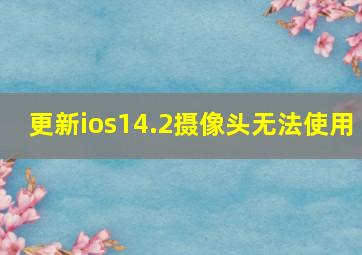 更新ios14.2摄像头无法使用