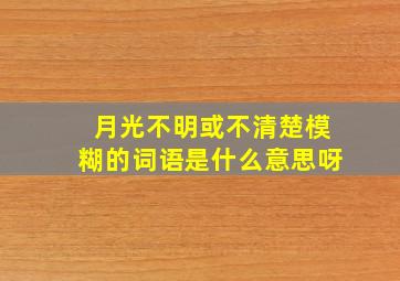 月光不明或不清楚模糊的词语是什么意思呀