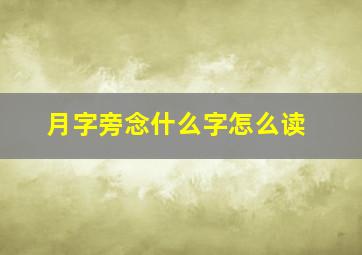 月字旁念什么字怎么读