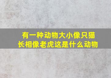 有一种动物大小像只猫长相像老虎这是什么动物