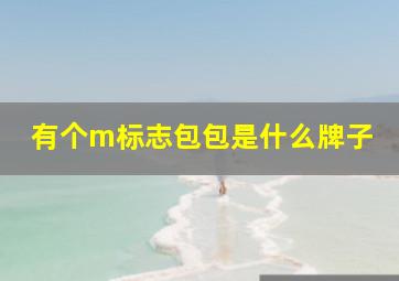 有个m标志包包是什么牌子