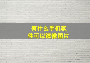 有什么手机软件可以镜像图片