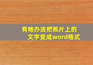 有啥办法把照片上的文字变成word格式