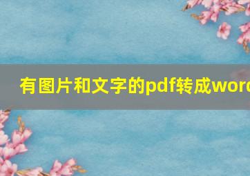 有图片和文字的pdf转成word