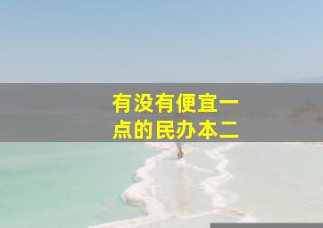 有没有便宜一点的民办本二