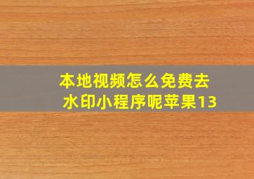 本地视频怎么免费去水印小程序呢苹果13