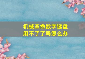 机械革命数字键盘用不了了吗怎么办