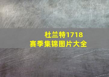 杜兰特1718赛季集锦图片大全