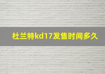 杜兰特kd17发售时间多久