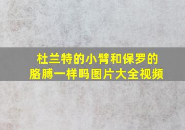 杜兰特的小臂和保罗的胳膊一样吗图片大全视频