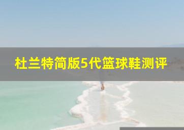 杜兰特简版5代篮球鞋测评