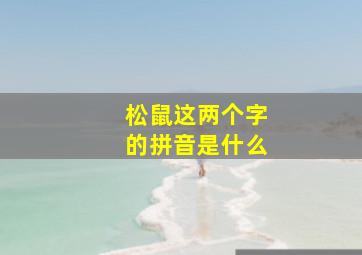 松鼠这两个字的拼音是什么