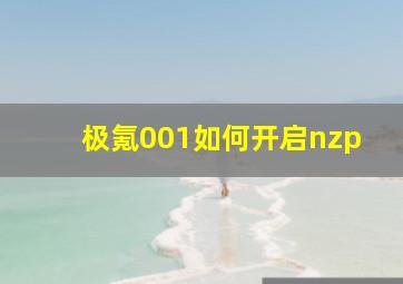 极氪001如何开启nzp