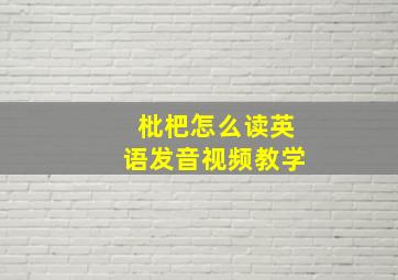 枇杷怎么读英语发音视频教学