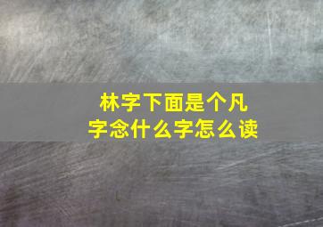 林字下面是个凡字念什么字怎么读