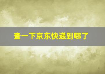 查一下京东快递到哪了