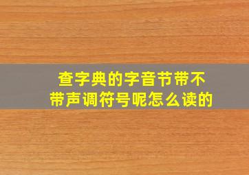 查字典的字音节带不带声调符号呢怎么读的