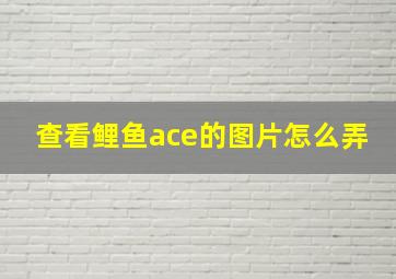 查看鲤鱼ace的图片怎么弄