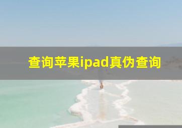 查询苹果ipad真伪查询