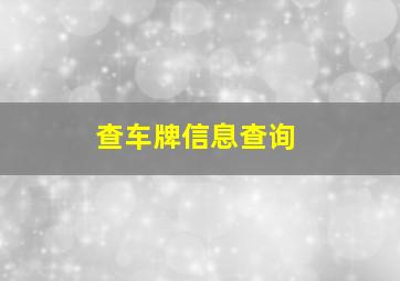 查车牌信息查询