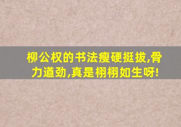 柳公权的书法瘦硬挺拔,骨力遒劲,真是栩栩如生呀!