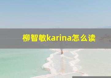 柳智敏karina怎么读