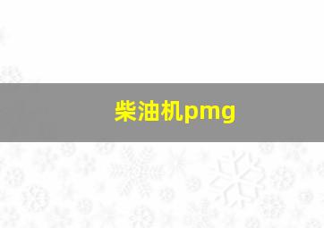 柴油机pmg