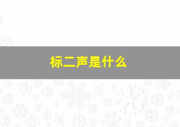 标二声是什么