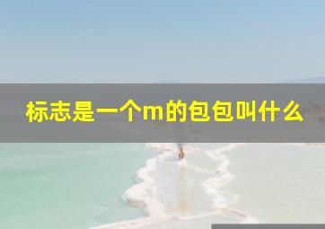 标志是一个m的包包叫什么