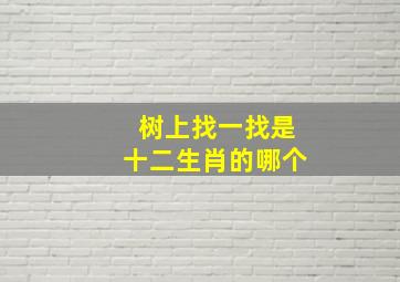 树上找一找是十二生肖的哪个