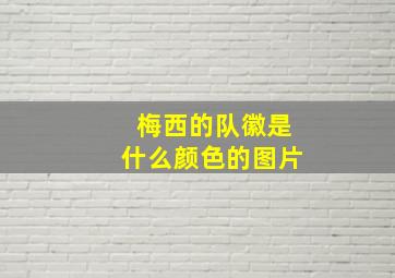 梅西的队徽是什么颜色的图片