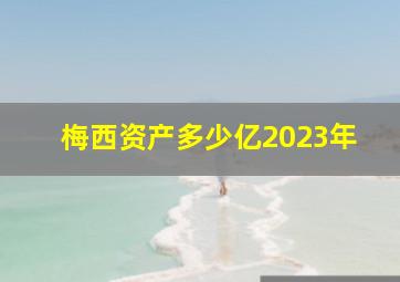 梅西资产多少亿2023年