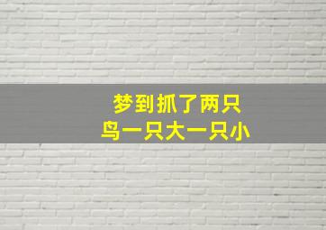 梦到抓了两只鸟一只大一只小