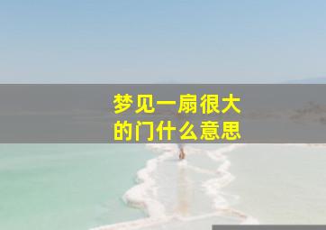 梦见一扇很大的门什么意思