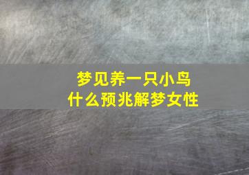 梦见养一只小鸟什么预兆解梦女性