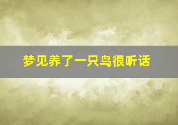 梦见养了一只鸟很听话