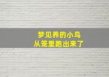 梦见养的小鸟从笼里跑出来了