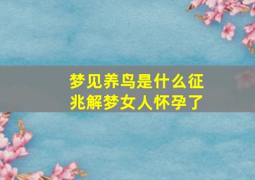 梦见养鸟是什么征兆解梦女人怀孕了