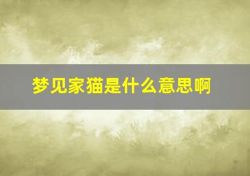 梦见家猫是什么意思啊