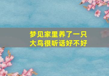 梦见家里养了一只大鸟很听话好不好