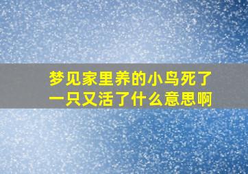 梦见家里养的小鸟死了一只又活了什么意思啊