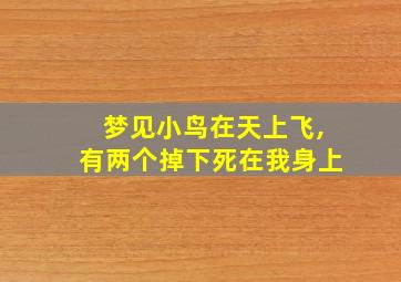 梦见小鸟在天上飞,有两个掉下死在我身上